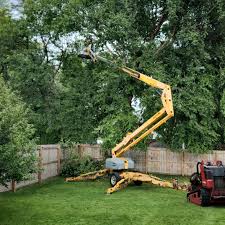 Trusted Eldorado At Santa Fe, NM Tree Care Experts